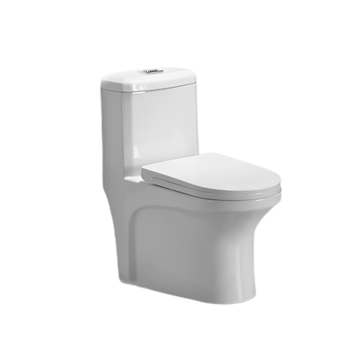 [T111007] One Piece Toilet
