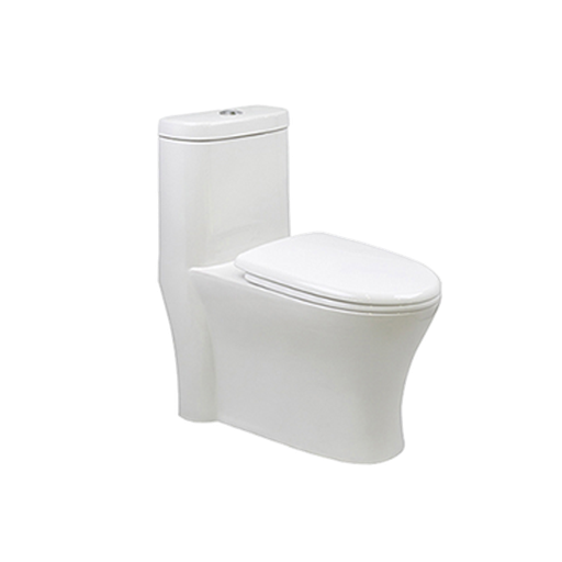 [T111004] One-Piece Elongated Toilet Dual-Flush